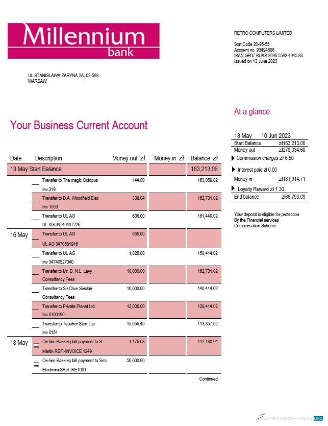 Download Millenium Bank enterprise statement Word and PDF template Photoshop template